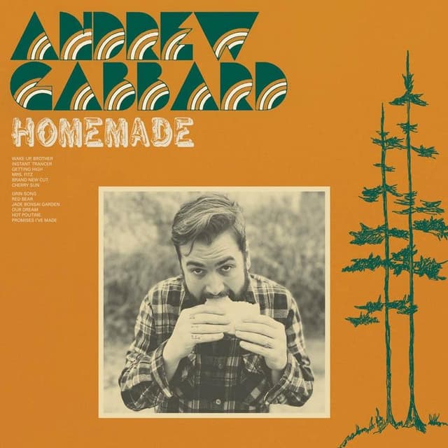 Album image