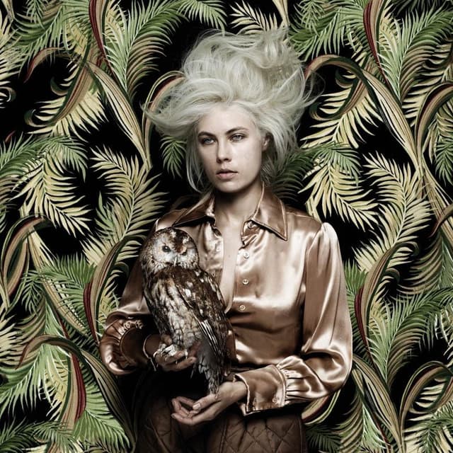 Album image