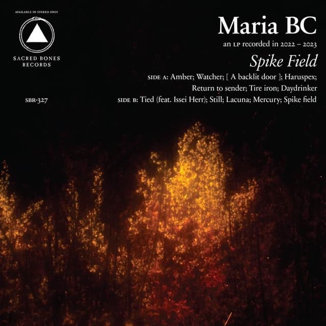 Album image