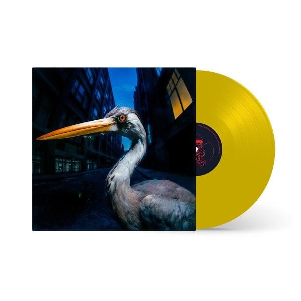 Album image