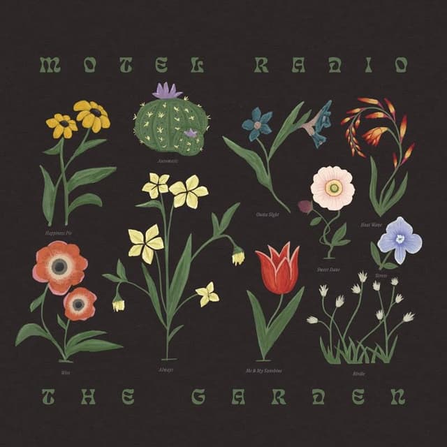 Album image