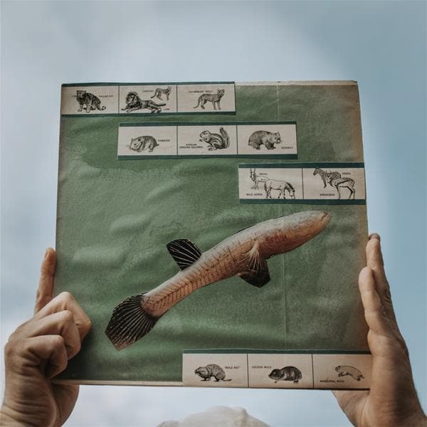 Album image